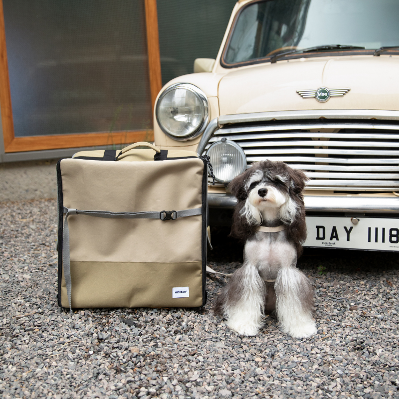 2-in-1 Pet Car Seat and Backpack Carrier