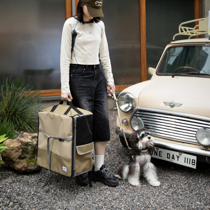 2-in-1 Pet Car Seat and Backpack Carrier