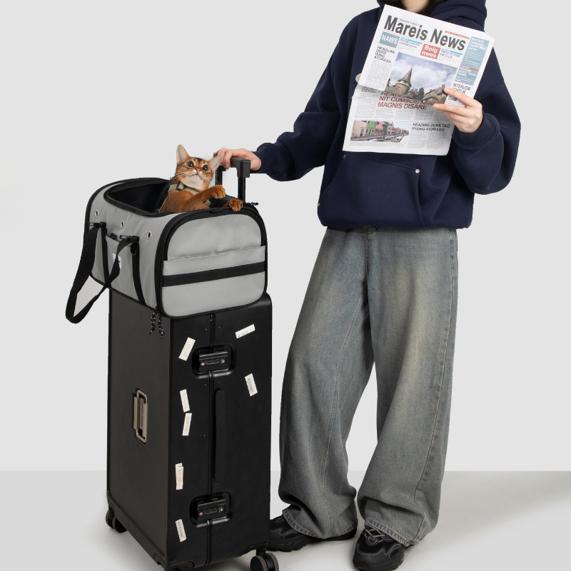 Toast-Style Airline Pet Carrier with Breathable Mesh Windows