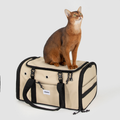 Toast-Style Airline Pet Carrier with Breathable Mesh Windows