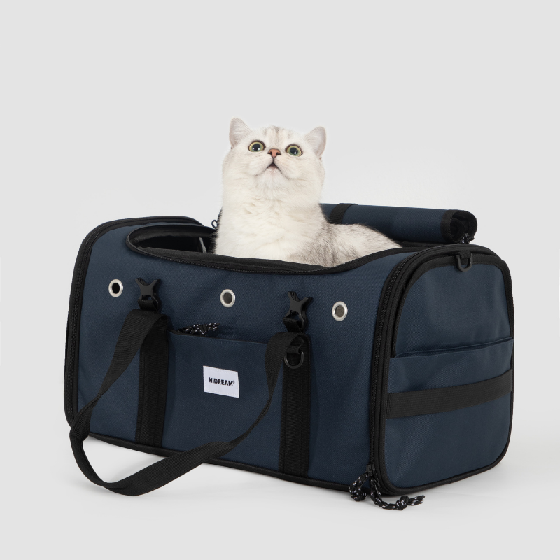Toast-Style Airline Pet Carrier with Breathable Mesh Windows