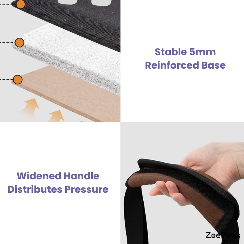 Baguette-style pet shoulder carrier feature graphic showing reinforced base
