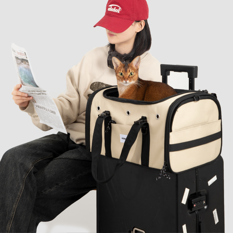 Toast-Style Airline Pet Carrier with Breathable Mesh Windows
