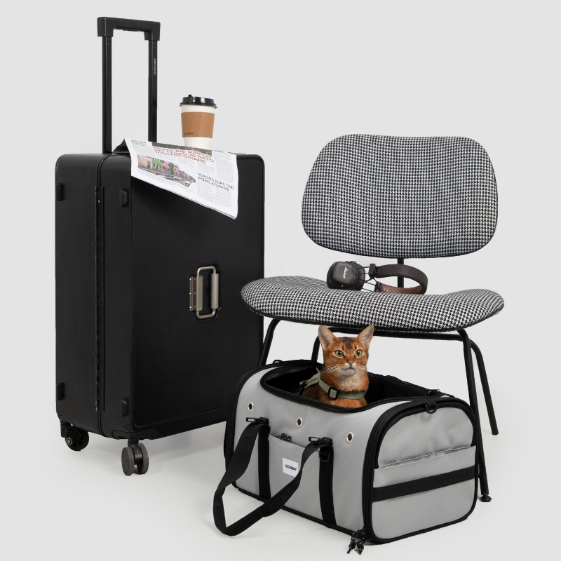 Toast-Style Airline Pet Carrier with Breathable Mesh Windows