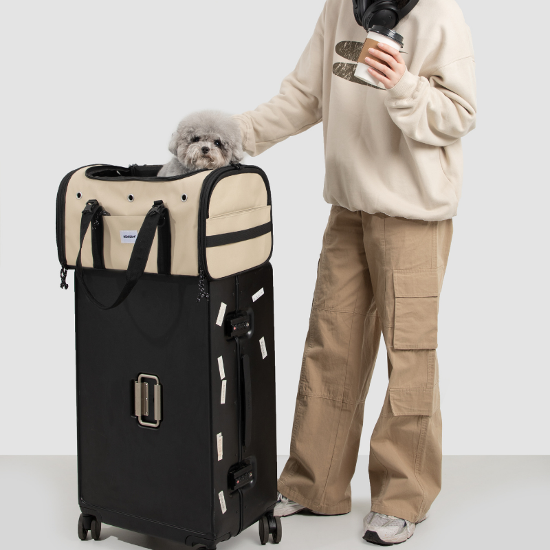 Toast-Style Airline Pet Carrier with Breathable Mesh Windows