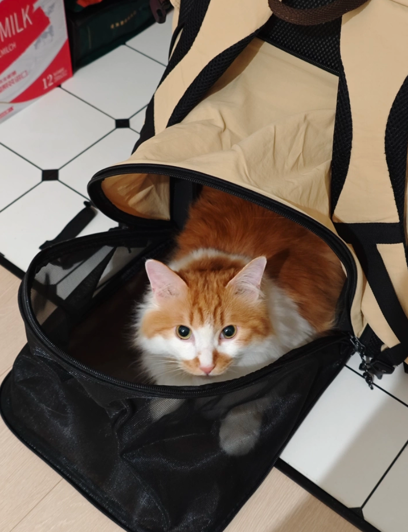 Trusted by pet parents