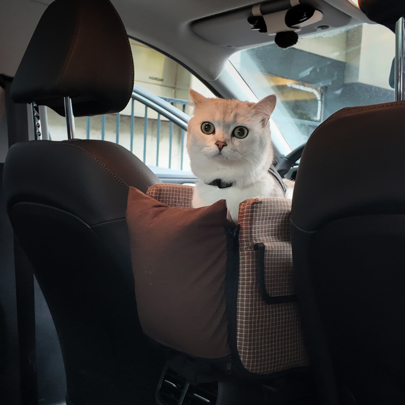 Centre Console Pet Car Seat for Cats and Small Dogs