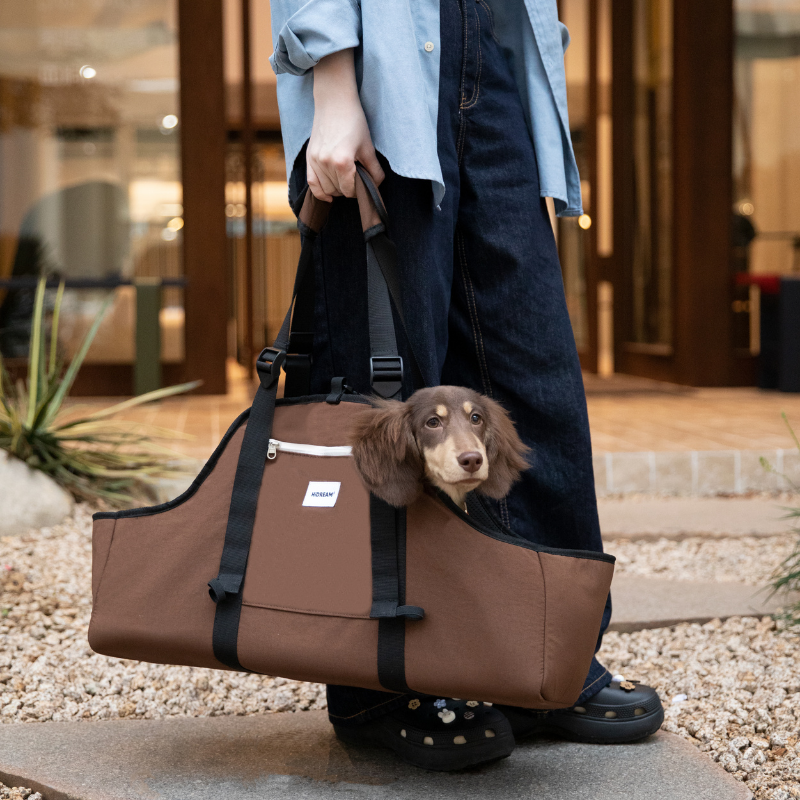Dachshund in brown baguette-style pet shoulder carrier held by owner outside