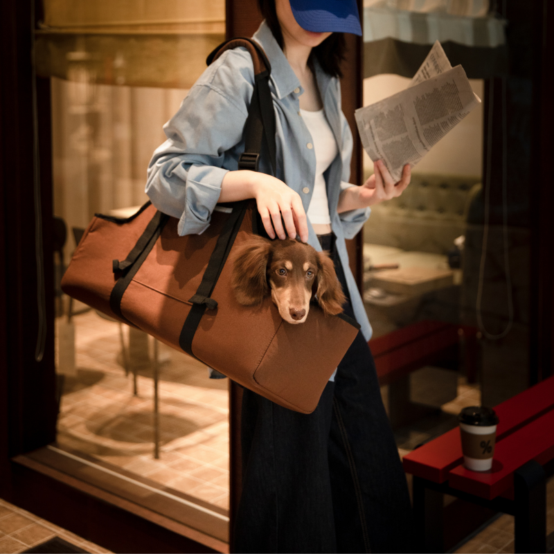 Owner carrying dachshund in brown baguette-style pet shoulder carrier indoors