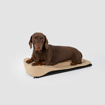 Dachshund lying on mat beside brown baguette-style pet shoulder carrier