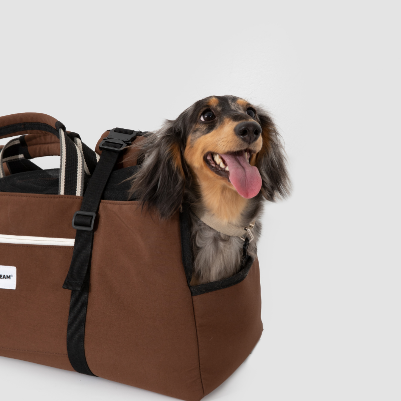 Baguette Dog Backpack Carrier for Dachshunds