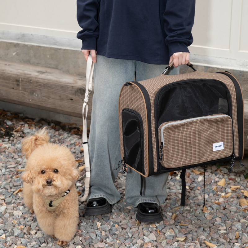 Small dog standing beside plaid pet travel backpack carrier on gravel