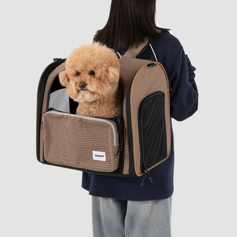 Owner wearing plaid pet travel backpack carrier with small dog inside