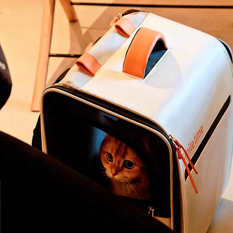 Orangefarbene Katze im weißen Smiletime Tragerucksack, vordere Öffnung