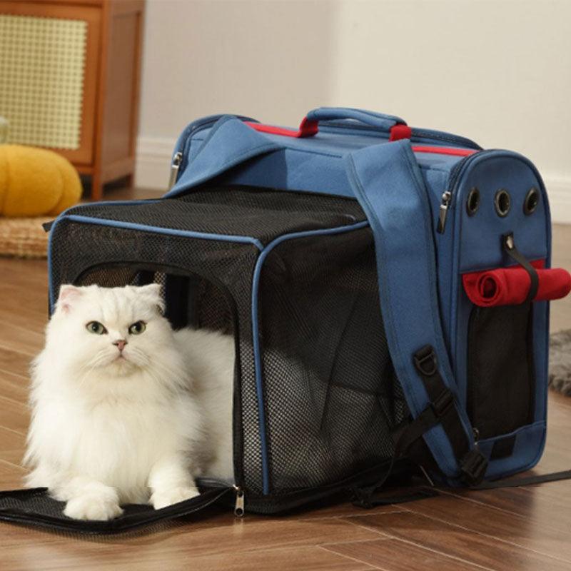 Weiße Katze sitzt neben aufgeklapptem blauem und rotem Mesh-Rucksack-Tunnel