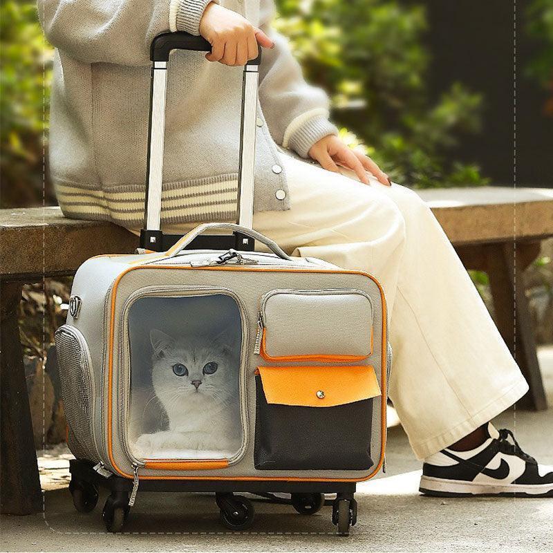 Grauer rollender Katzentransportkoffer neben einer sitzenden Person