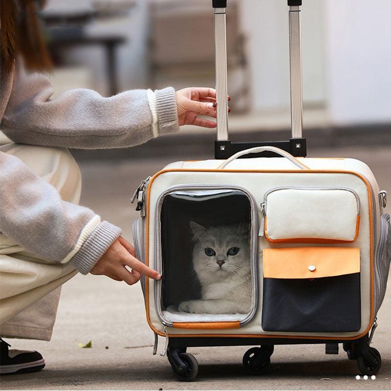 Weiße Katze in grauem Rollkoffer-Tragetasche mit Frontfenster