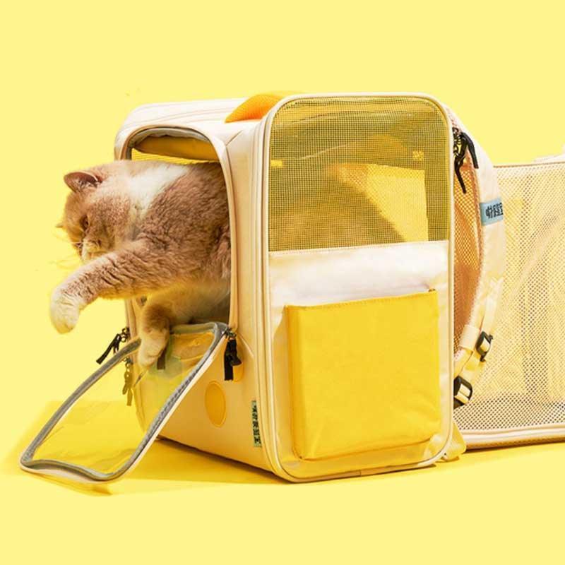 Orangefarbene Katze, die aus einem gelb expandierbaren Katzen-Rucksack steigt