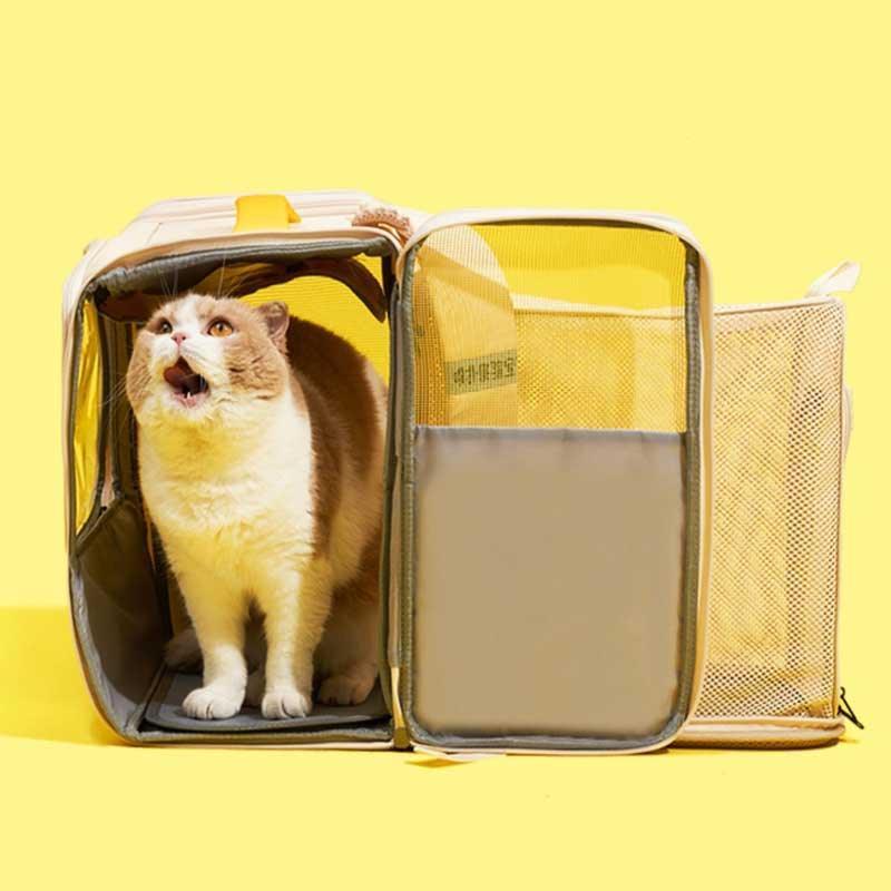Katze sitzt im gelben expandierbaren Game Pet-Rucksack