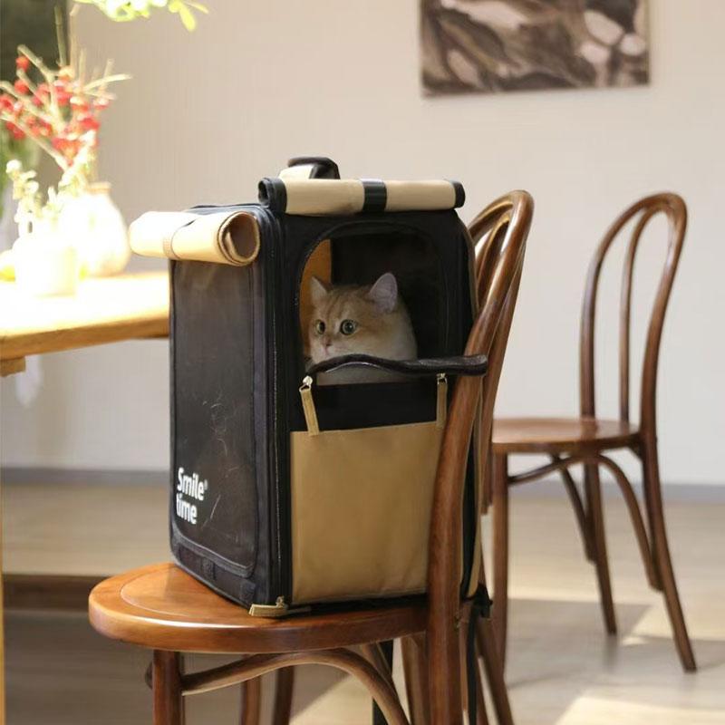 Black and beige cat trolley carrier on cafe chair