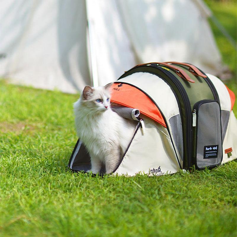 Faltbare zeltförmige Katzen-Rucksack-Tragetasche mit weißer Katze im Gras