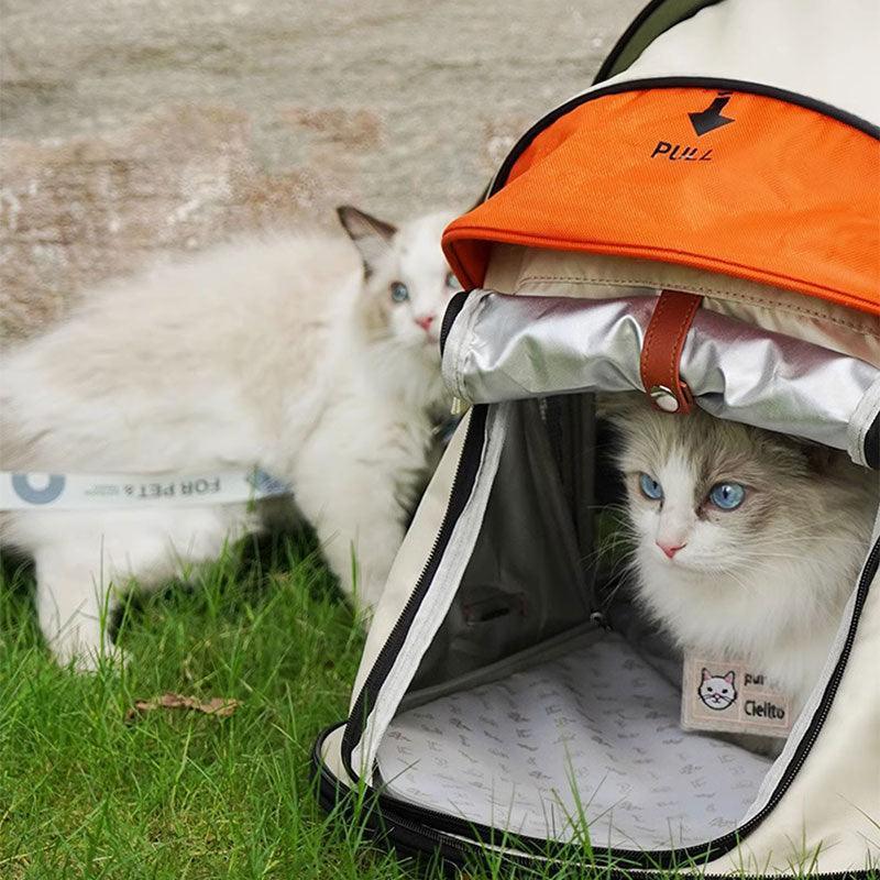 Zwei Katzen, die in der orangefarbenen und grünen Zelt-Rucksack-Tragetasche ruhen