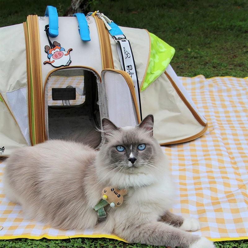Katze, die neben grüner und gelber Zelt-Tragetasche auf einer Picknickdecke liegt
