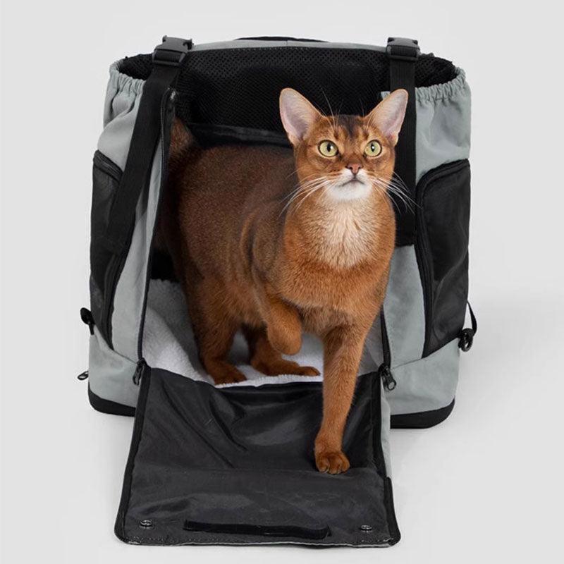 Orangefarbene Katze sitzt im schwarz-grauen Träger mit offener Klappe