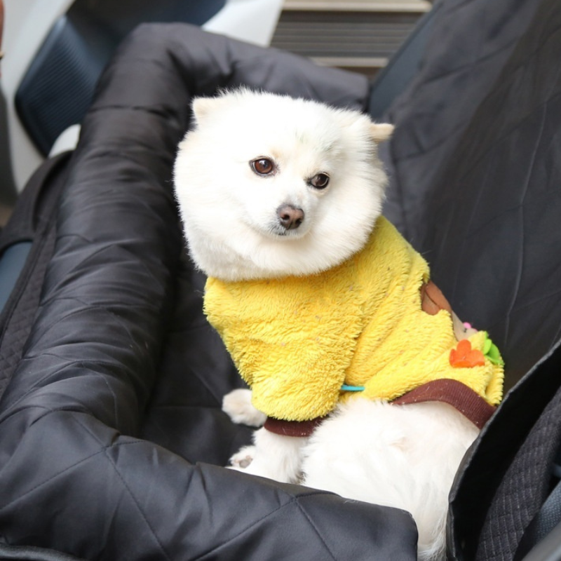 Portable Pet Car Seat Cover in-use lifestyle view