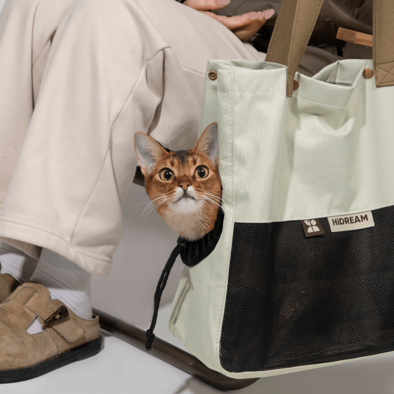 Aesthetic Breathable Canvas Pet Carrier Tote - ZoePaws