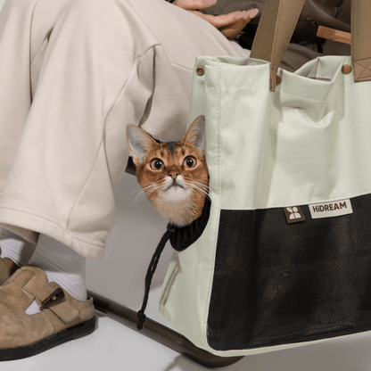 Aesthetic Breathable Canvas Pet Carrier Tote - ZoePaws