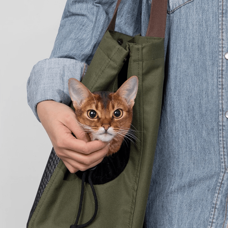 Aesthetic Breathable Canvas Pet Carrier Tote - ZoePaws