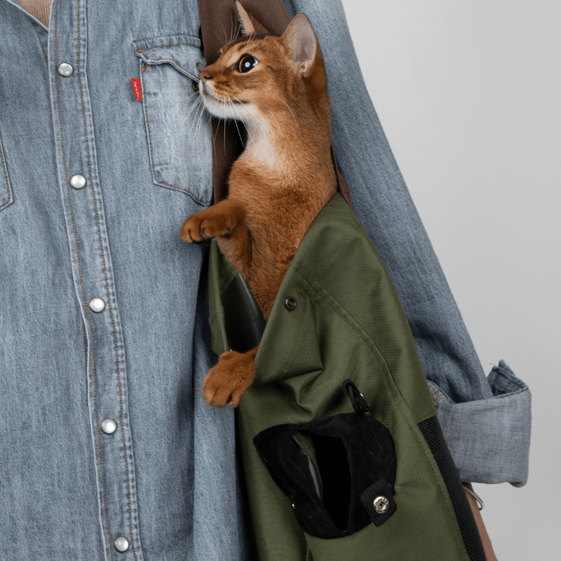 Aesthetic Breathable Canvas Pet Carrier Tote - ZoePaws