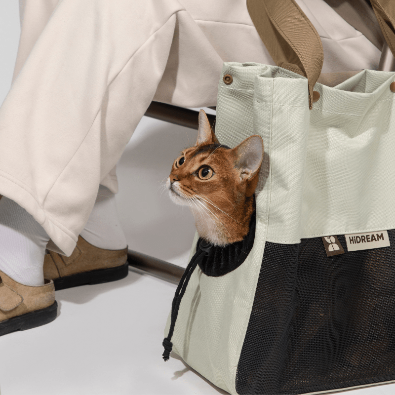 Aesthetic Breathable Canvas Pet Carrier Tote - ZoePaws