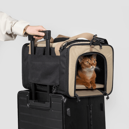 Airline Approved Foldable Pet Carrier - ZoePaws