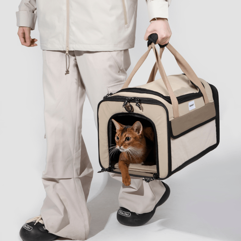 Airline Approved Foldable Pet Carrier - ZoePaws