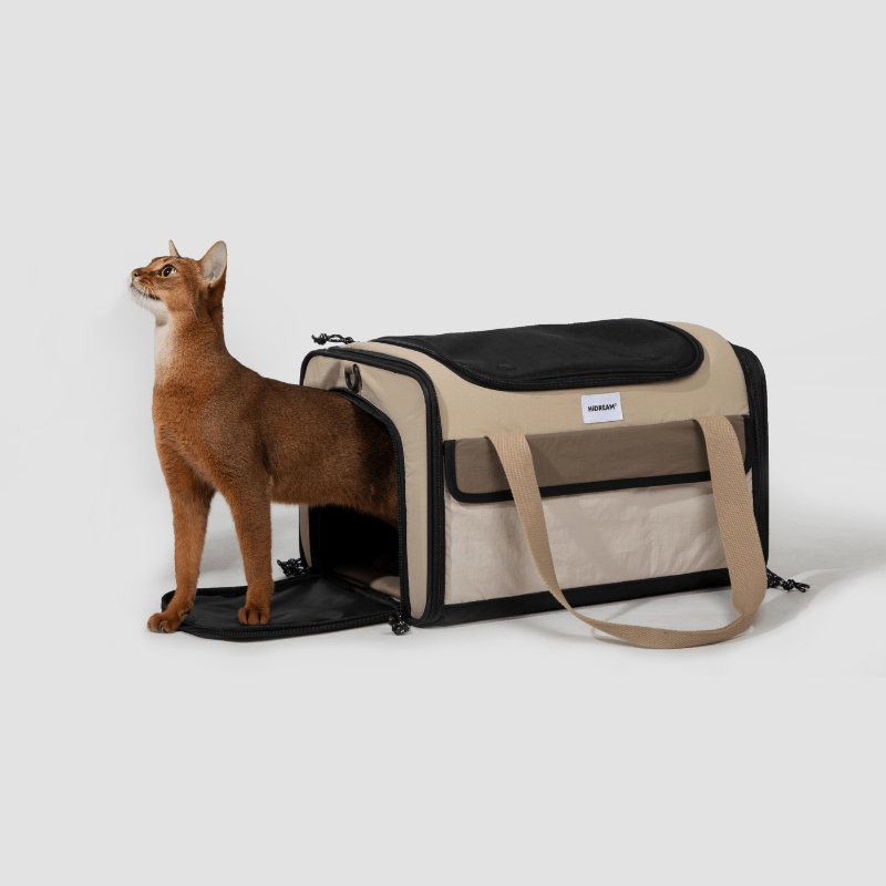 Airline Approved Foldable Pet Carrier - ZoePaws
