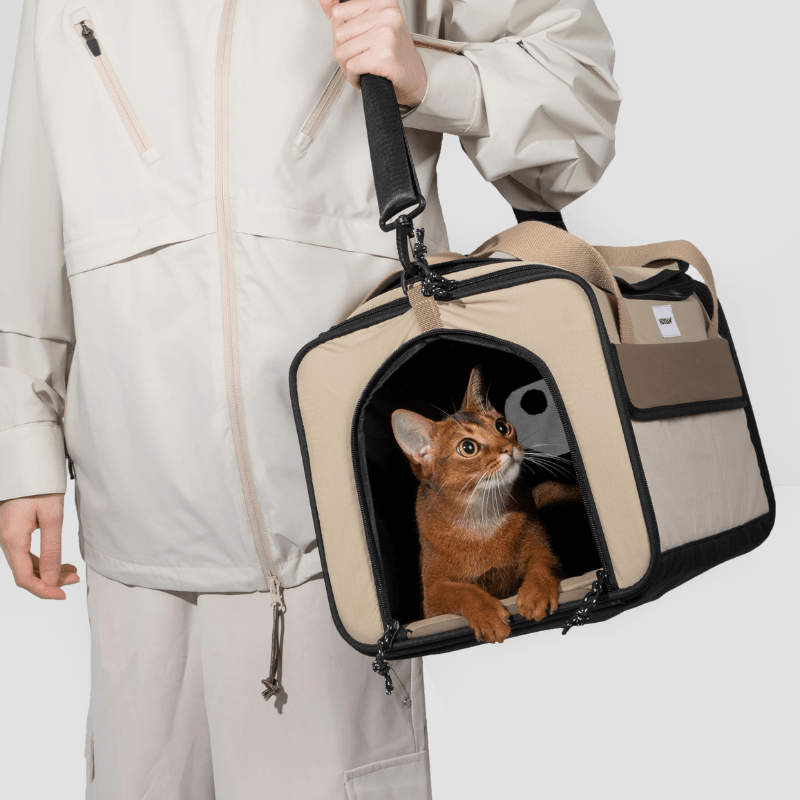 Airline Approved Foldable Pet Carrier - ZoePaws