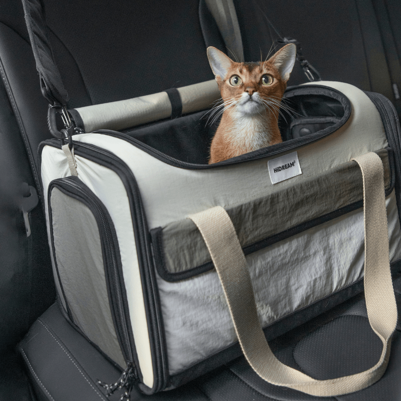 Airline Approved Foldable Pet Carrier - ZoePaws
