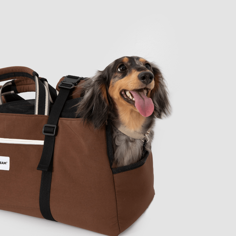 Baguette Dog Backpack Carrier for Dachshunds - ZoePaws