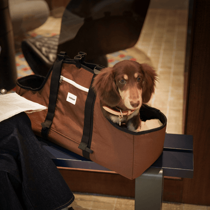 Baguette-Style Pet Shoulder Carrier for Dachshunds and Small Dogs - ZoePaws