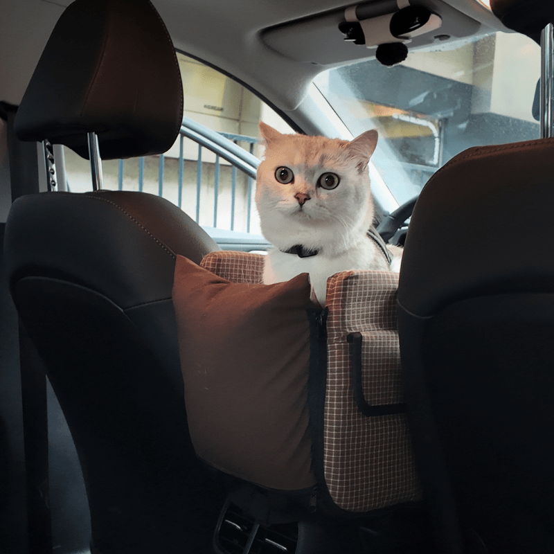 Centre Console Pet Car Seat for Cats and Small Dogs - ZoePaws