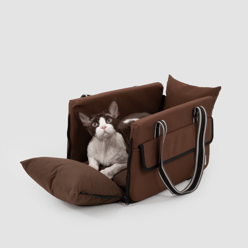 Centre Console Pet Car Seat for Cats and Small Dogs - ZoePaws