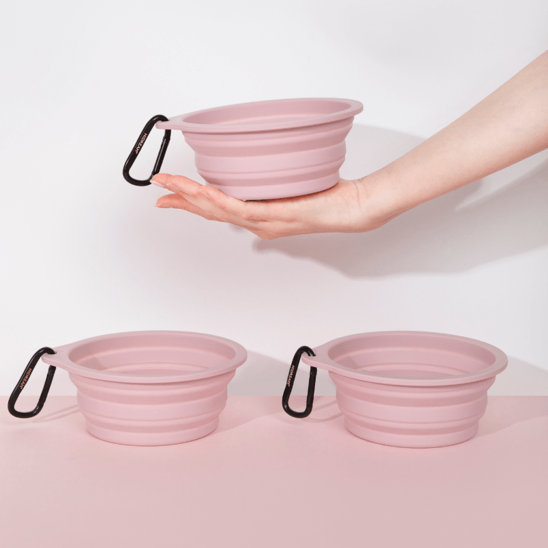 Collapsible Travel Pet Bowl for Dogs & Cats - ZoePaws