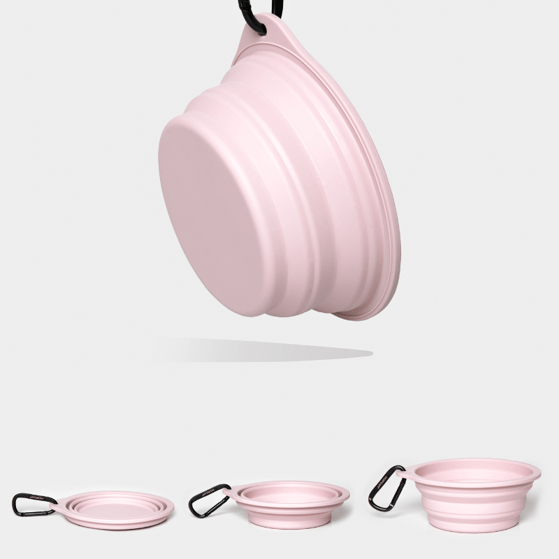 Collapsible Travel Pet Bowl for Dogs & Cats - ZoePaws