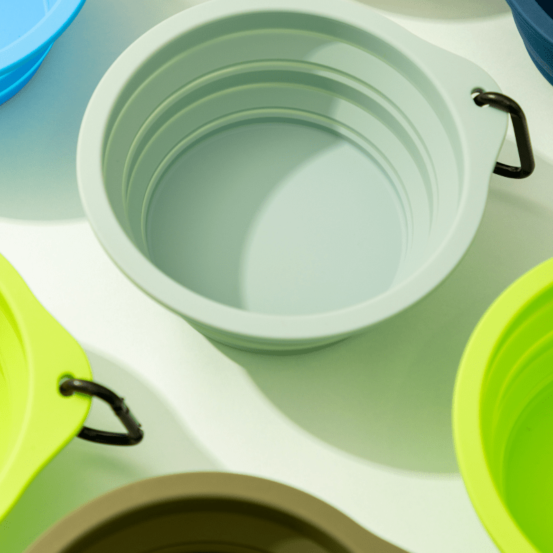 Collapsible Travel Pet Bowl for Dogs & Cats - ZoePaws