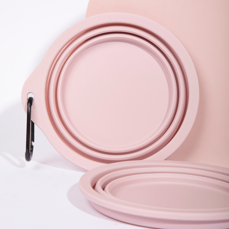 Collapsible Travel Pet Bowl for Dogs & Cats - ZoePaws