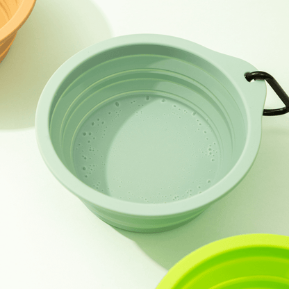 Collapsible Travel Pet Bowl for Dogs & Cats - ZoePaws