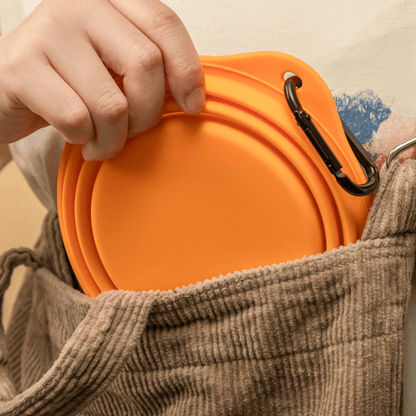 Collapsible Travel Pet Bowl for Dogs & Cats - ZoePaws