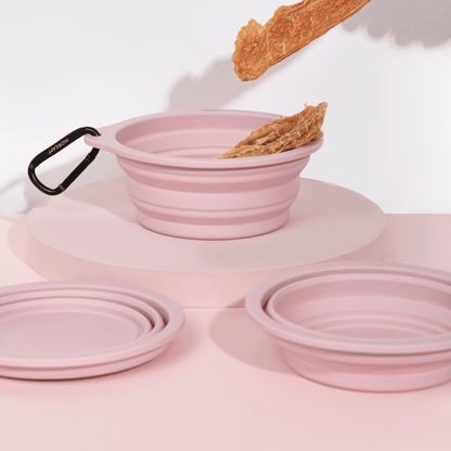 Collapsible Travel Pet Bowl for Dogs & Cats - ZoePaws